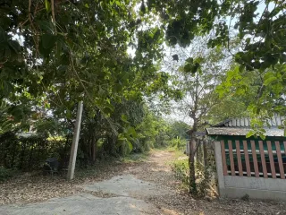 For sale land in Mueang Ubon Ratchathani, Ubon Ratchathani