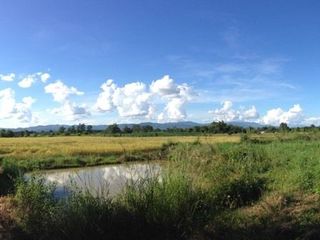 For sale land in Chiang Khong, Chiang Rai