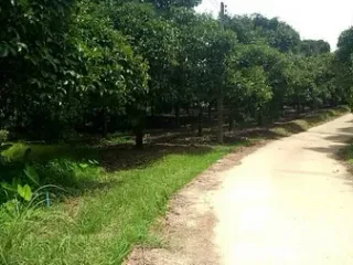 For sale land in La-un, Ranong