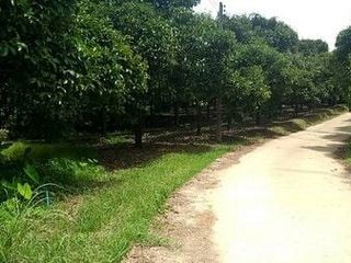 For sale land in La-un, Ranong
