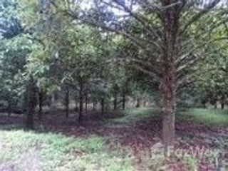 For sale land in La-un, Ranong