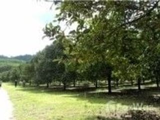 For sale land in La-un, Ranong