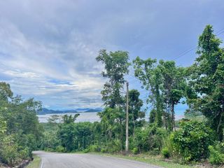For sale land in Mueang Phuket, Phuket