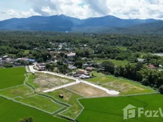 For sale land in Mae Rim, Chiang Mai