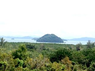 For sale land in Thalang, Phuket