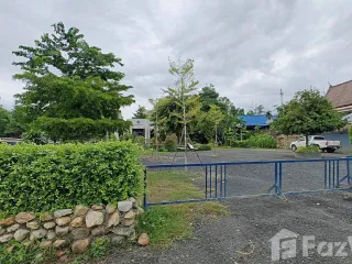 For sale land in Mae Rim, Chiang Mai