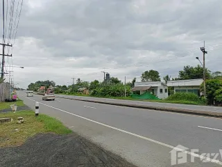For sale land in Mae Rim, Chiang Mai