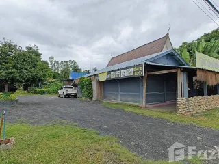 For sale land in Mae Rim, Chiang Mai