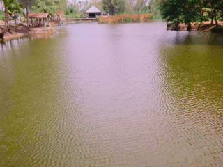 For sale land in Pran Buri, Prachuap Khiri Khan