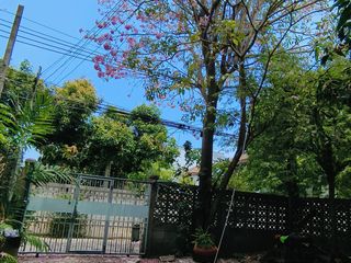 For sale 3 Beds house in Chatuchak, Bangkok