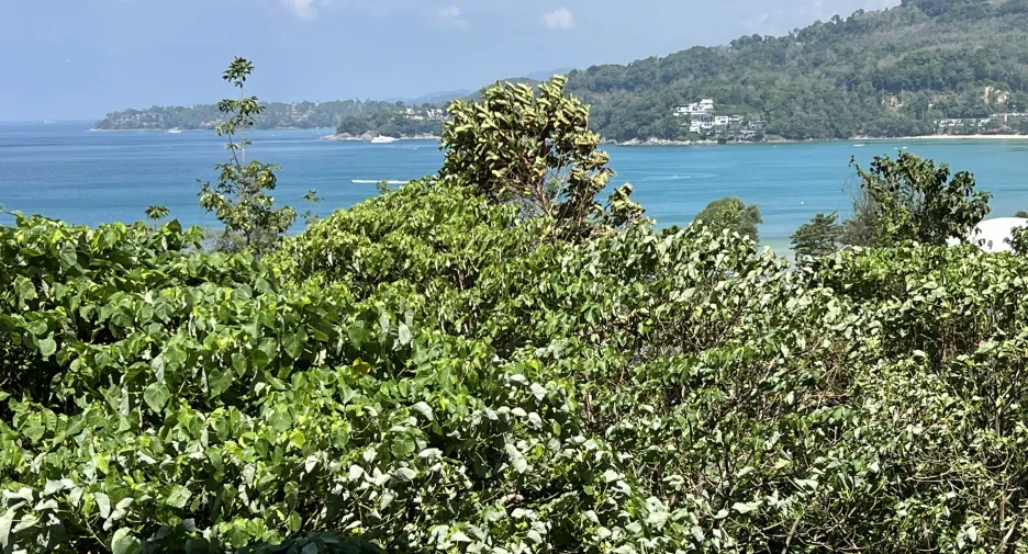 For sale studio condo in Kathu, Phuket