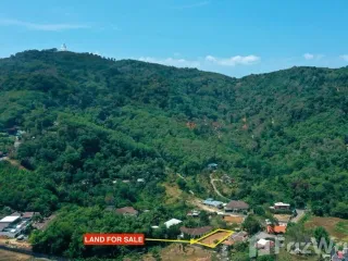 For sale land in Mueang Phuket, Phuket
