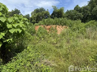 For sale land in Thalang, Phuket