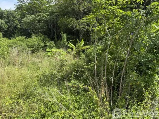 For sale land in Thalang, Phuket