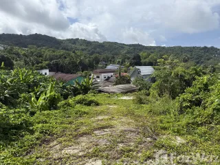 For sale land in Thalang, Phuket