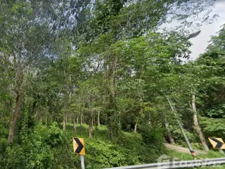 For sale land in Thalang, Phuket