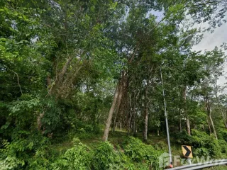 For sale land in Thalang, Phuket
