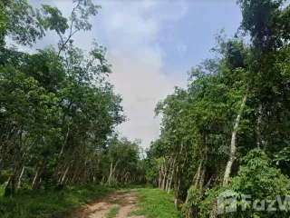 For sale land in Thalang, Phuket