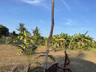 For sale land in Mueang Phuket, Phuket