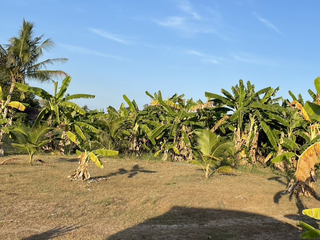 For sale land in Mueang Phuket, Phuket