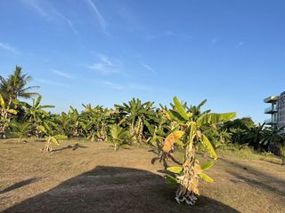 For sale land in Mueang Phuket, Phuket