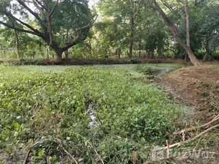 For sale land in Saraphi, Chiang Mai