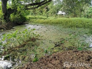 For sale land in Saraphi, Chiang Mai