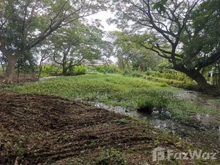 For sale land in Saraphi, Chiang Mai