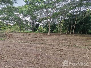 For sale land in Saraphi, Chiang Mai