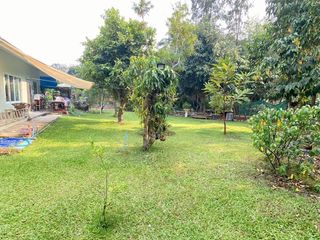 For sale land in Saraphi, Chiang Mai
