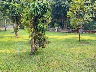 For sale land in Saraphi, Chiang Mai