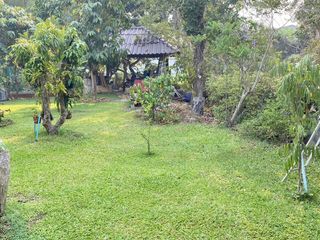 For sale land in Saraphi, Chiang Mai