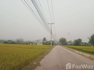 For sale land in San Sai, Chiang Mai