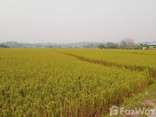 For sale land in San Sai, Chiang Mai