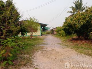 For sale land in San Sai, Chiang Mai