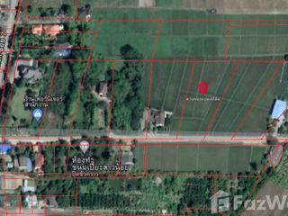 For sale land in San Sai, Chiang Mai