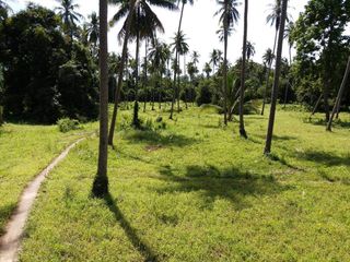 ขาย ที่ดิน ใน เกาะสมุย, สุราษฎร์ธานี