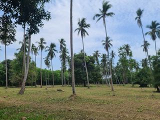 ขาย ที่ดิน ใน เกาะสมุย, สุราษฎร์ธานี