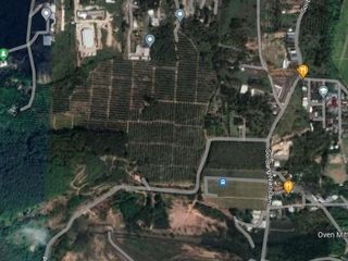 For sale land in Thalang, Phuket
