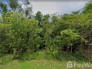 For sale land in Thalang, Phuket