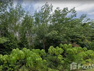 For sale land in Thalang, Phuket