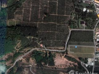 For sale land in Thalang, Phuket