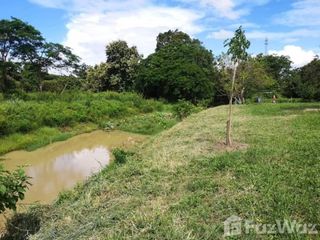 ขาย ที่ดิน ใน หางดง, เชียงใหม่