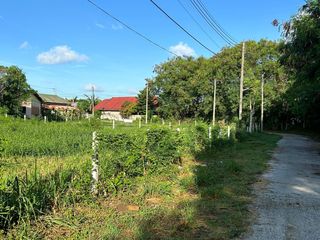 For sale land in Mueang Phuket, Phuket