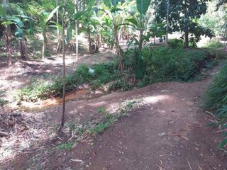 For sale land in Thalang, Phuket