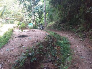 For sale land in Thalang, Phuket