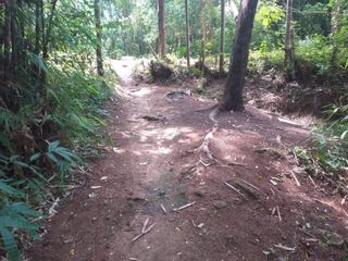 For sale land in Thalang, Phuket
