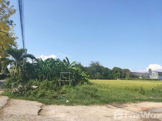 ขาย ที่ดิน ใน สันทราย, เชียงใหม่