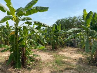 For sale land in Sattahip, Chonburi