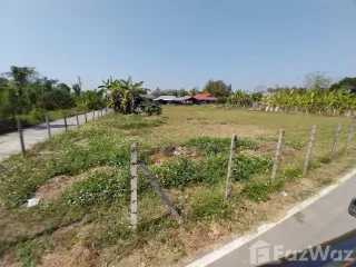For sale land in San Sai, Chiang Mai